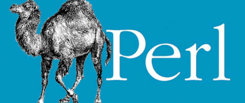 Ngôn ngữ lập trình Perl  